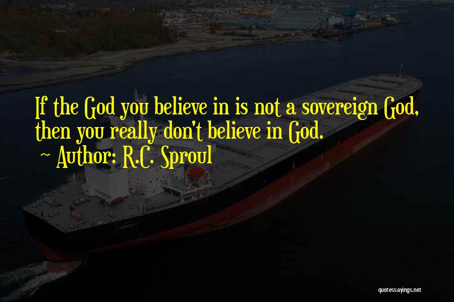 R.C. Sproul Quotes: If The God You Believe In Is Not A Sovereign God, Then You Really Don't Believe In God.
