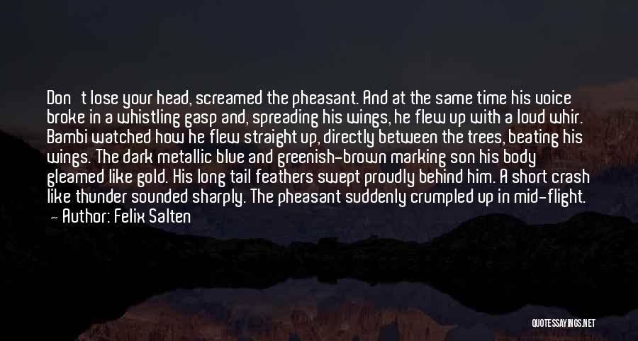 Felix Salten Quotes: Don't Lose Your Head, Screamed The Pheasant. And At The Same Time His Voice Broke In A Whistling Gasp And,