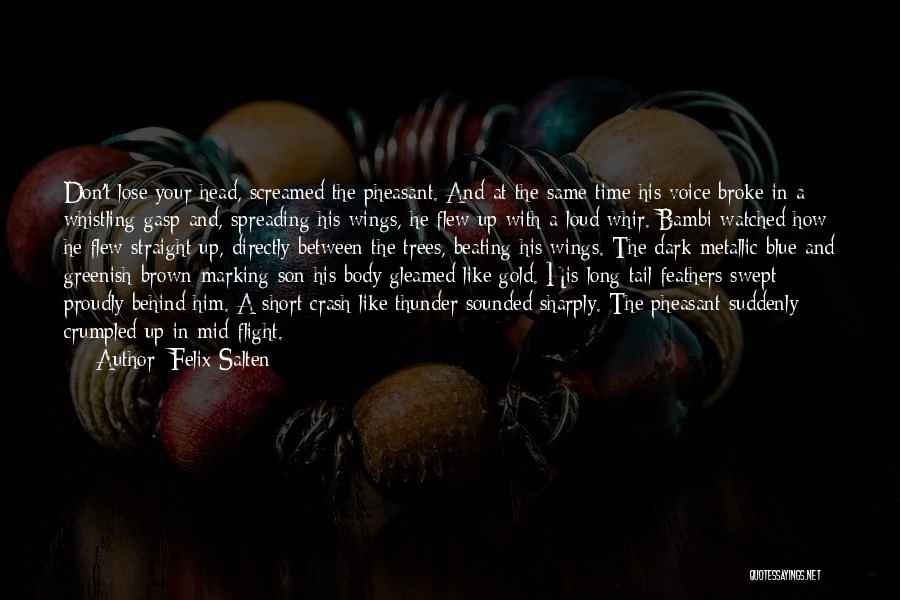 Felix Salten Quotes: Don't Lose Your Head, Screamed The Pheasant. And At The Same Time His Voice Broke In A Whistling Gasp And,