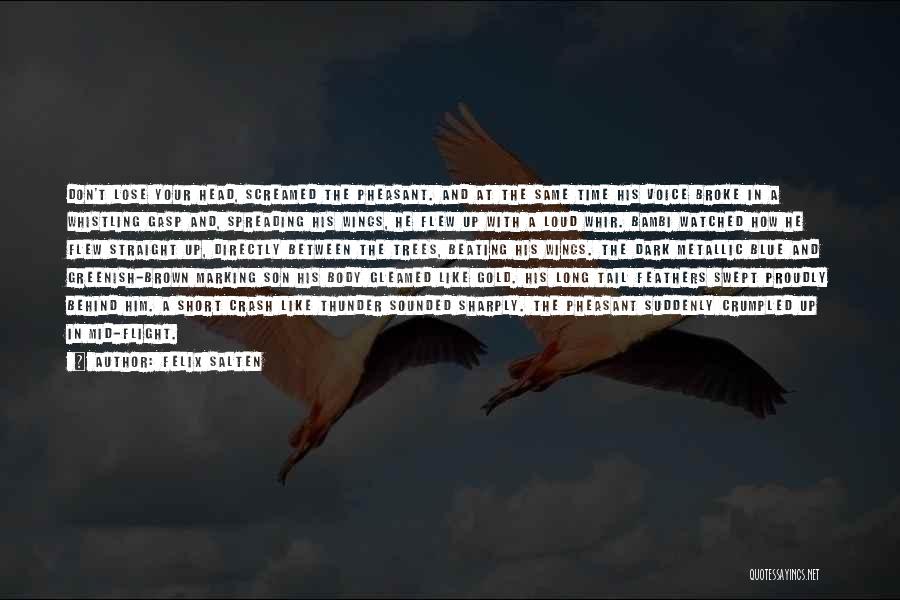 Felix Salten Quotes: Don't Lose Your Head, Screamed The Pheasant. And At The Same Time His Voice Broke In A Whistling Gasp And,