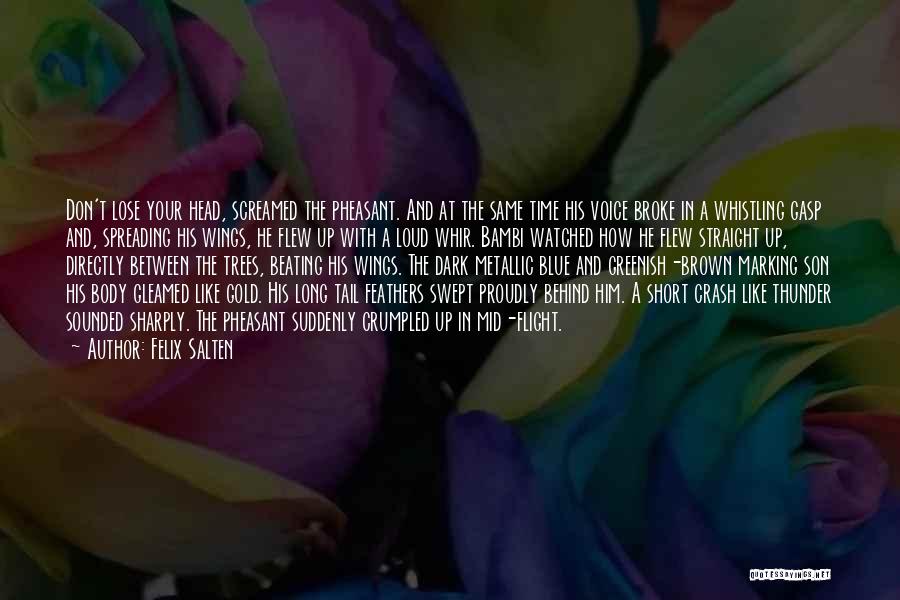 Felix Salten Quotes: Don't Lose Your Head, Screamed The Pheasant. And At The Same Time His Voice Broke In A Whistling Gasp And,