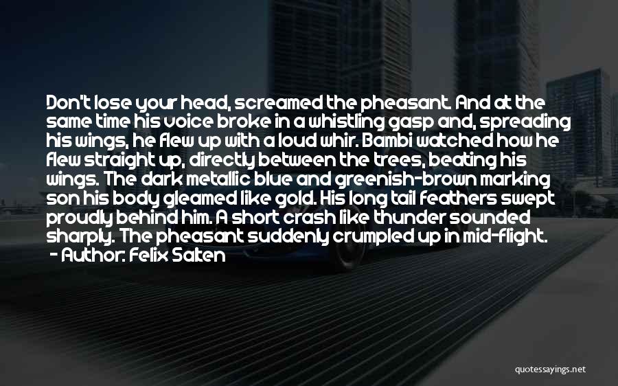 Felix Salten Quotes: Don't Lose Your Head, Screamed The Pheasant. And At The Same Time His Voice Broke In A Whistling Gasp And,