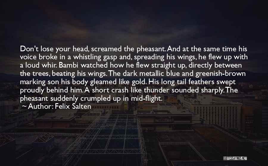 Felix Salten Quotes: Don't Lose Your Head, Screamed The Pheasant. And At The Same Time His Voice Broke In A Whistling Gasp And,