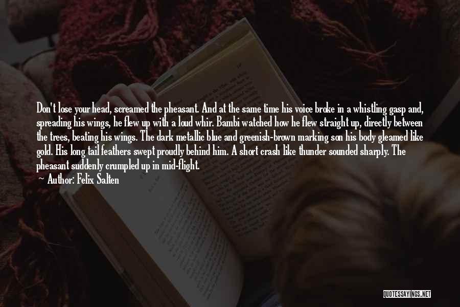 Felix Salten Quotes: Don't Lose Your Head, Screamed The Pheasant. And At The Same Time His Voice Broke In A Whistling Gasp And,