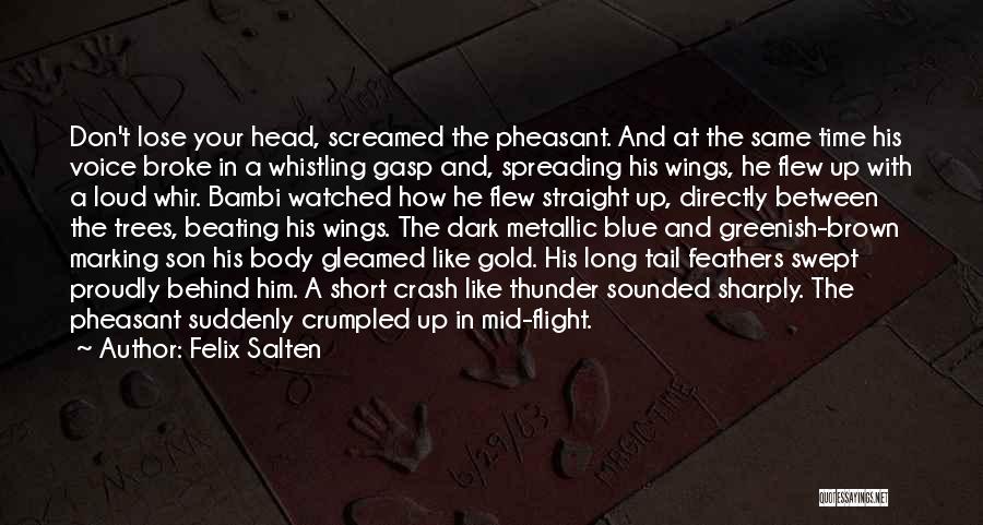 Felix Salten Quotes: Don't Lose Your Head, Screamed The Pheasant. And At The Same Time His Voice Broke In A Whistling Gasp And,