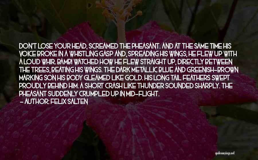 Felix Salten Quotes: Don't Lose Your Head, Screamed The Pheasant. And At The Same Time His Voice Broke In A Whistling Gasp And,