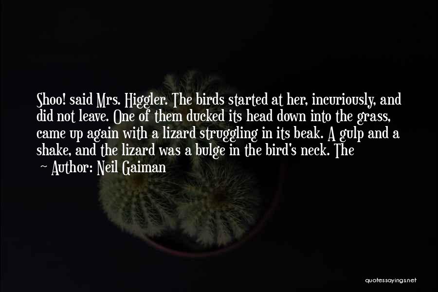 Neil Gaiman Quotes: Shoo! Said Mrs. Higgler. The Birds Started At Her, Incuriously, And Did Not Leave. One Of Them Ducked Its Head