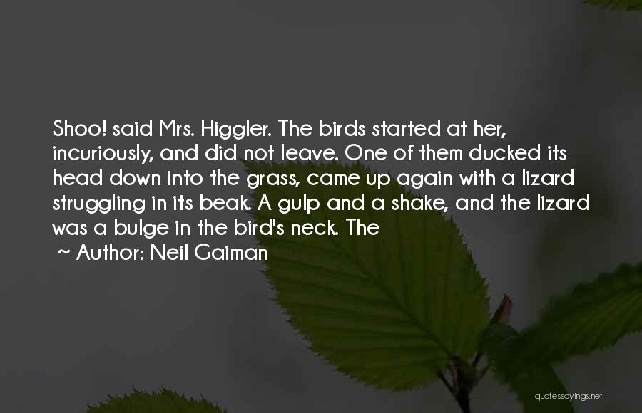 Neil Gaiman Quotes: Shoo! Said Mrs. Higgler. The Birds Started At Her, Incuriously, And Did Not Leave. One Of Them Ducked Its Head