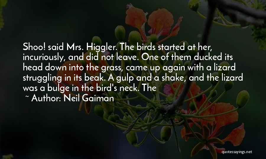 Neil Gaiman Quotes: Shoo! Said Mrs. Higgler. The Birds Started At Her, Incuriously, And Did Not Leave. One Of Them Ducked Its Head