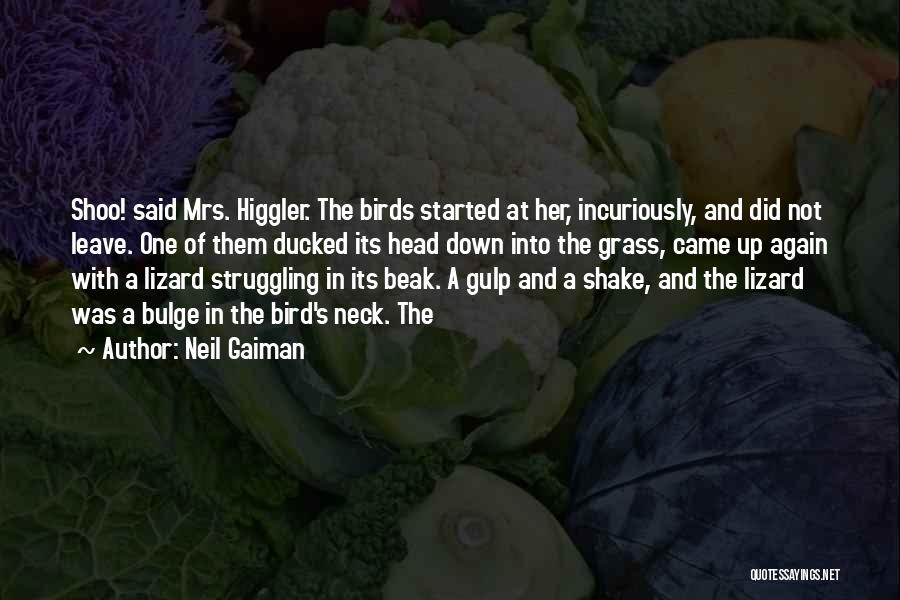 Neil Gaiman Quotes: Shoo! Said Mrs. Higgler. The Birds Started At Her, Incuriously, And Did Not Leave. One Of Them Ducked Its Head