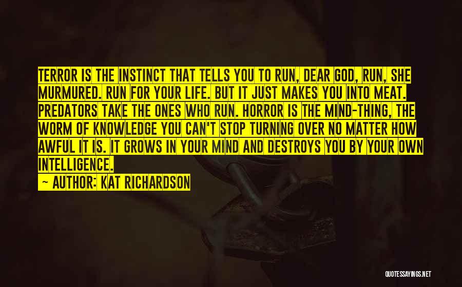 Kat Richardson Quotes: Terror Is The Instinct That Tells You To Run, Dear God, Run, She Murmured. Run For Your Life. But It