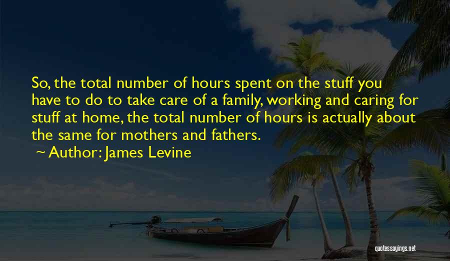 James Levine Quotes: So, The Total Number Of Hours Spent On The Stuff You Have To Do To Take Care Of A Family,