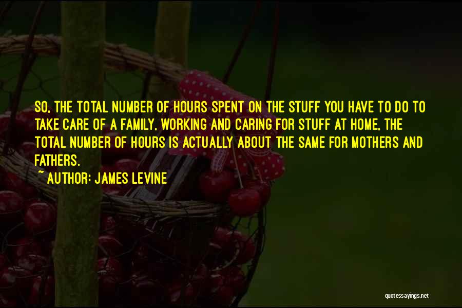 James Levine Quotes: So, The Total Number Of Hours Spent On The Stuff You Have To Do To Take Care Of A Family,