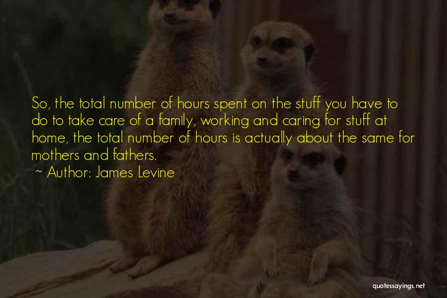 James Levine Quotes: So, The Total Number Of Hours Spent On The Stuff You Have To Do To Take Care Of A Family,