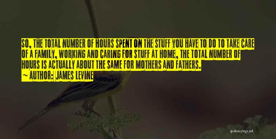 James Levine Quotes: So, The Total Number Of Hours Spent On The Stuff You Have To Do To Take Care Of A Family,