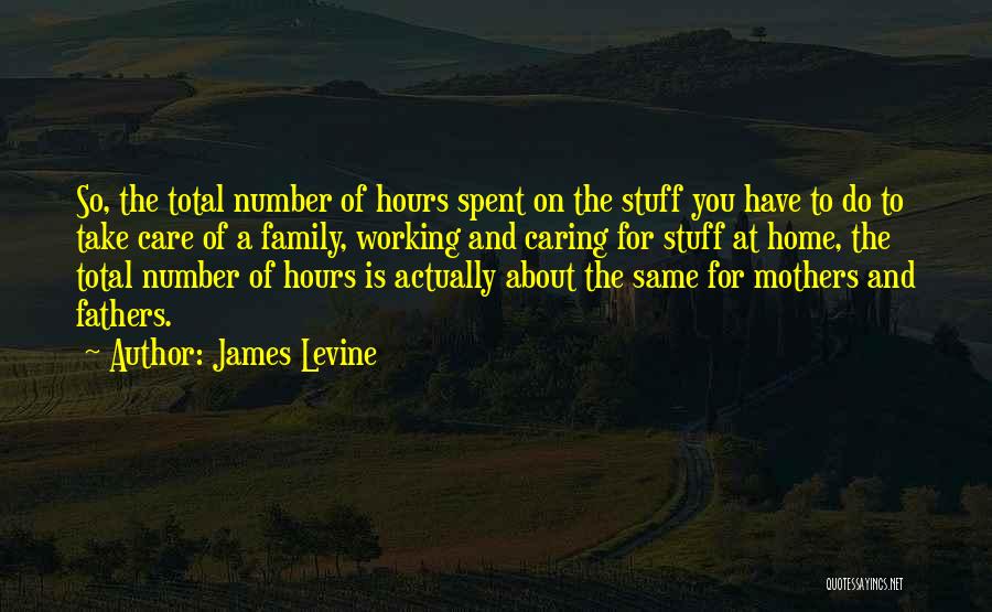 James Levine Quotes: So, The Total Number Of Hours Spent On The Stuff You Have To Do To Take Care Of A Family,