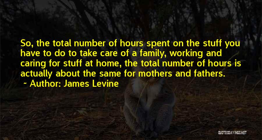 James Levine Quotes: So, The Total Number Of Hours Spent On The Stuff You Have To Do To Take Care Of A Family,