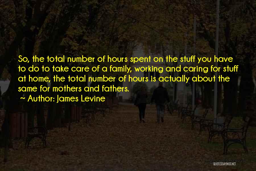 James Levine Quotes: So, The Total Number Of Hours Spent On The Stuff You Have To Do To Take Care Of A Family,