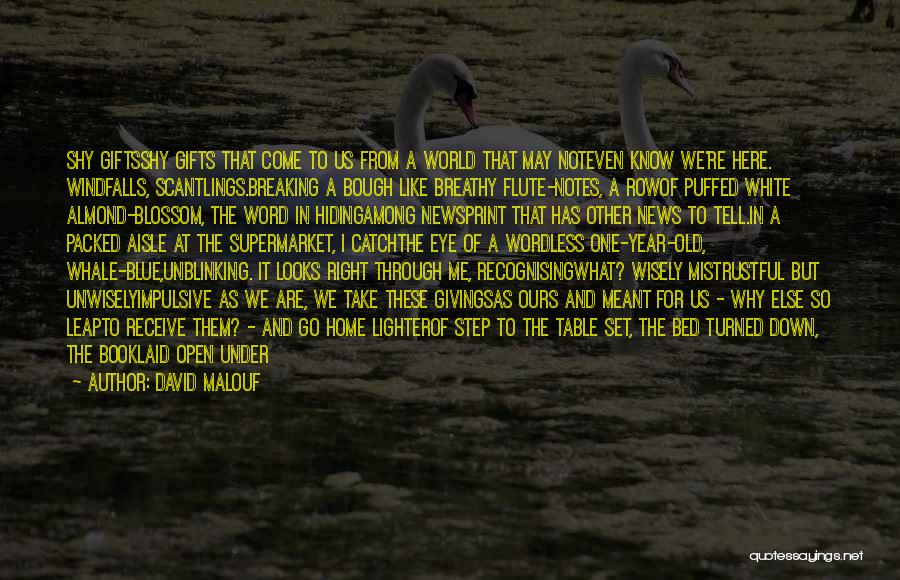 David Malouf Quotes: Shy Giftsshy Gifts That Come To Us From A World That May Noteven Know We're Here. Windfalls, Scantlings.breaking A Bough