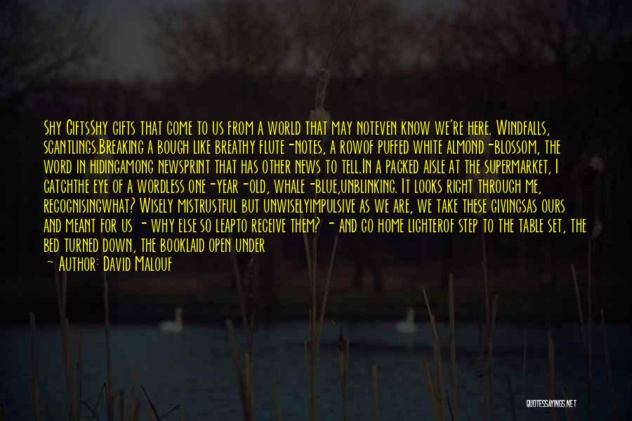 David Malouf Quotes: Shy Giftsshy Gifts That Come To Us From A World That May Noteven Know We're Here. Windfalls, Scantlings.breaking A Bough