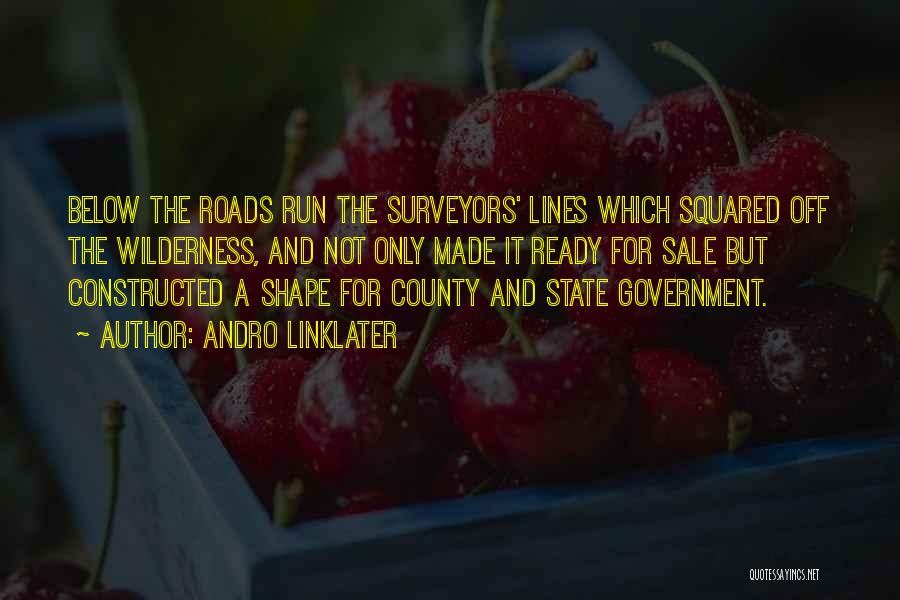 Andro Linklater Quotes: Below The Roads Run The Surveyors' Lines Which Squared Off The Wilderness, And Not Only Made It Ready For Sale