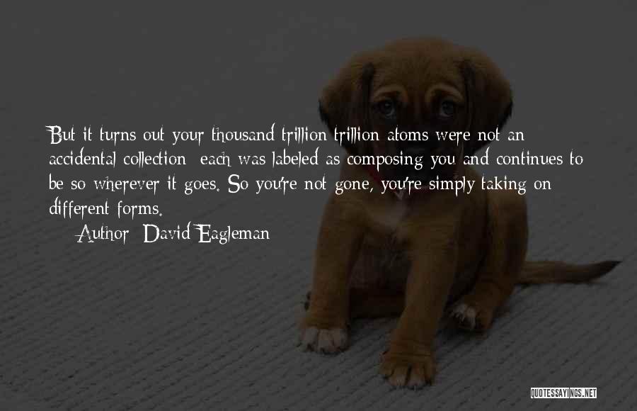 David Eagleman Quotes: But It Turns Out Your Thousand Trillion Trillion Atoms Were Not An Accidental Collection: Each Was Labeled As Composing You