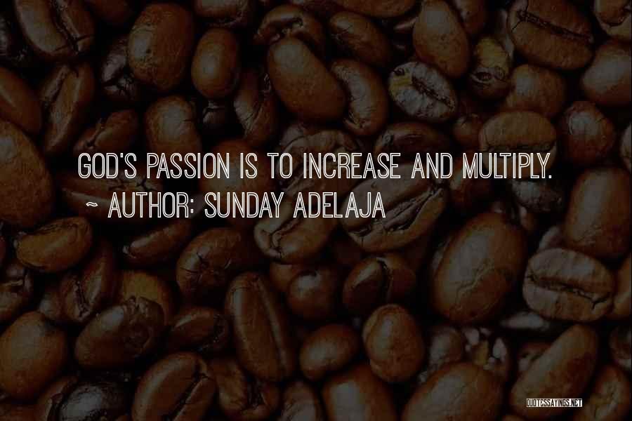 Sunday Adelaja Quotes: God's Passion Is To Increase And Multiply.