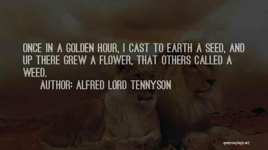 Alfred Lord Tennyson Quotes: Once In A Golden Hour, I Cast To Earth A Seed, And Up There Grew A Flower, That Others Called