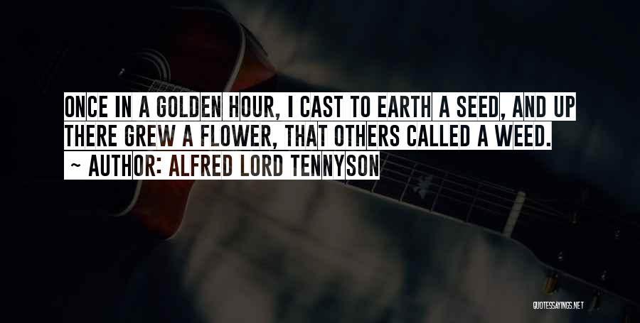 Alfred Lord Tennyson Quotes: Once In A Golden Hour, I Cast To Earth A Seed, And Up There Grew A Flower, That Others Called