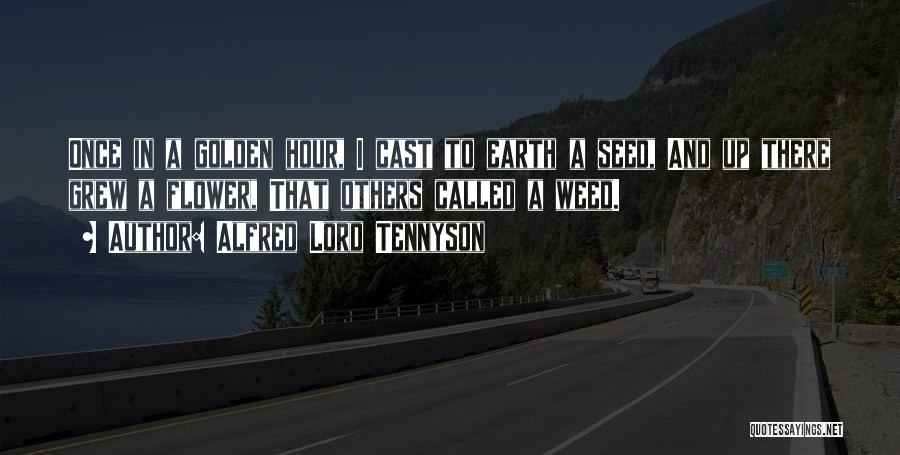 Alfred Lord Tennyson Quotes: Once In A Golden Hour, I Cast To Earth A Seed, And Up There Grew A Flower, That Others Called