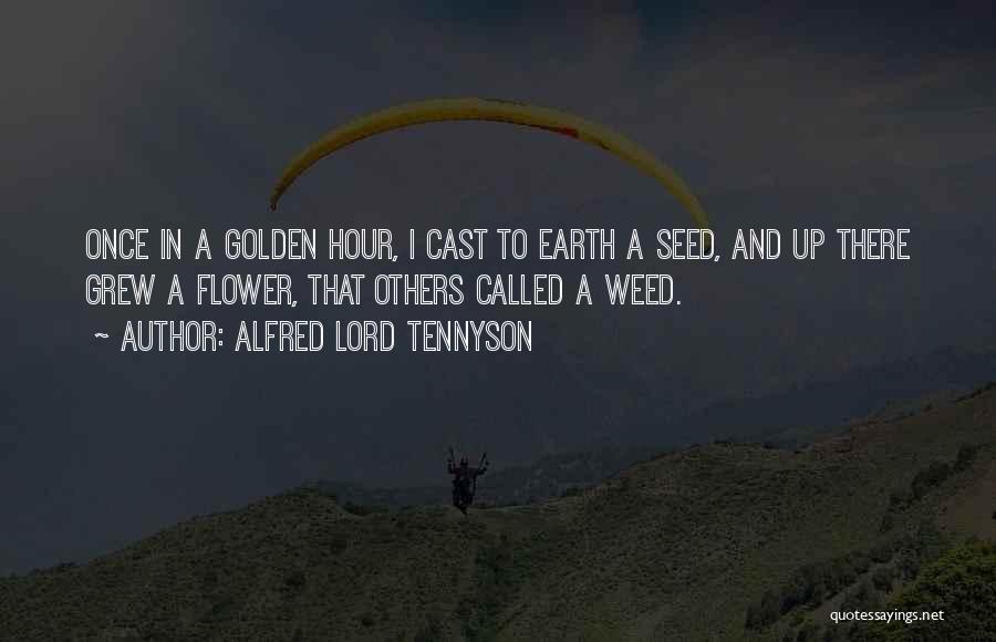 Alfred Lord Tennyson Quotes: Once In A Golden Hour, I Cast To Earth A Seed, And Up There Grew A Flower, That Others Called