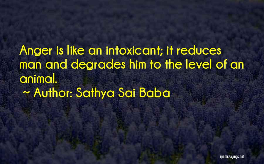 Sathya Sai Baba Quotes: Anger Is Like An Intoxicant; It Reduces Man And Degrades Him To The Level Of An Animal.