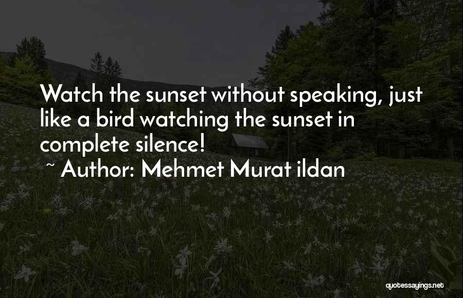 Mehmet Murat Ildan Quotes: Watch The Sunset Without Speaking, Just Like A Bird Watching The Sunset In Complete Silence!