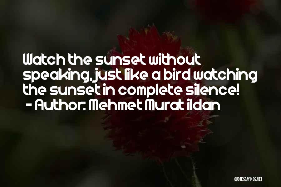 Mehmet Murat Ildan Quotes: Watch The Sunset Without Speaking, Just Like A Bird Watching The Sunset In Complete Silence!