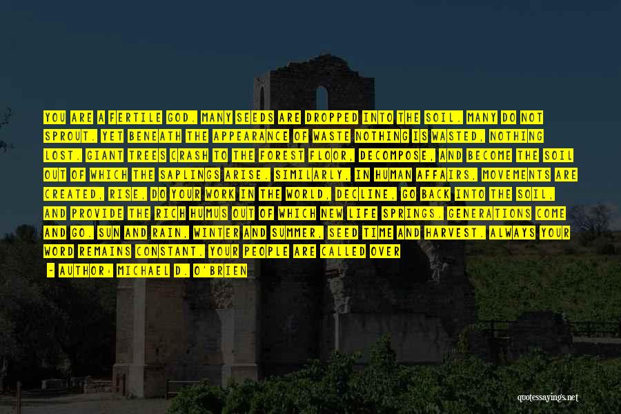 Michael D. O'Brien Quotes: You Are A Fertile God. Many Seeds Are Dropped Into The Soil. Many Do Not Sprout. Yet Beneath The Appearance