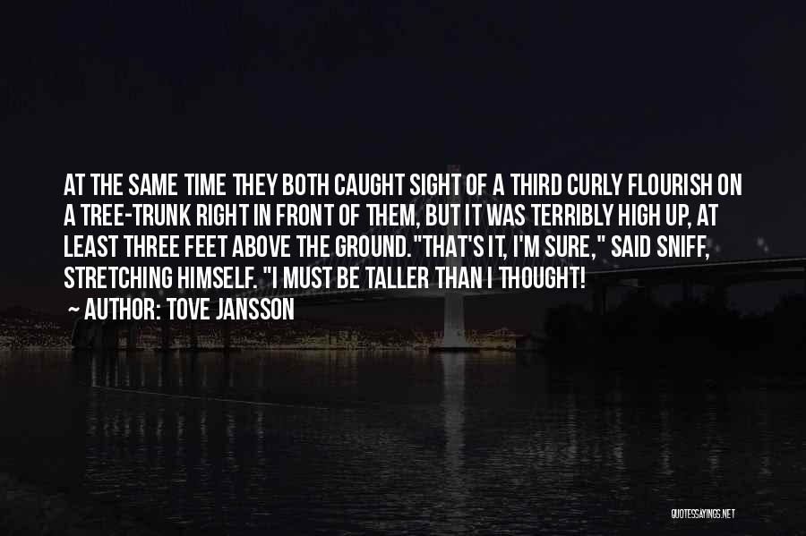 Tove Jansson Quotes: At The Same Time They Both Caught Sight Of A Third Curly Flourish On A Tree-trunk Right In Front Of