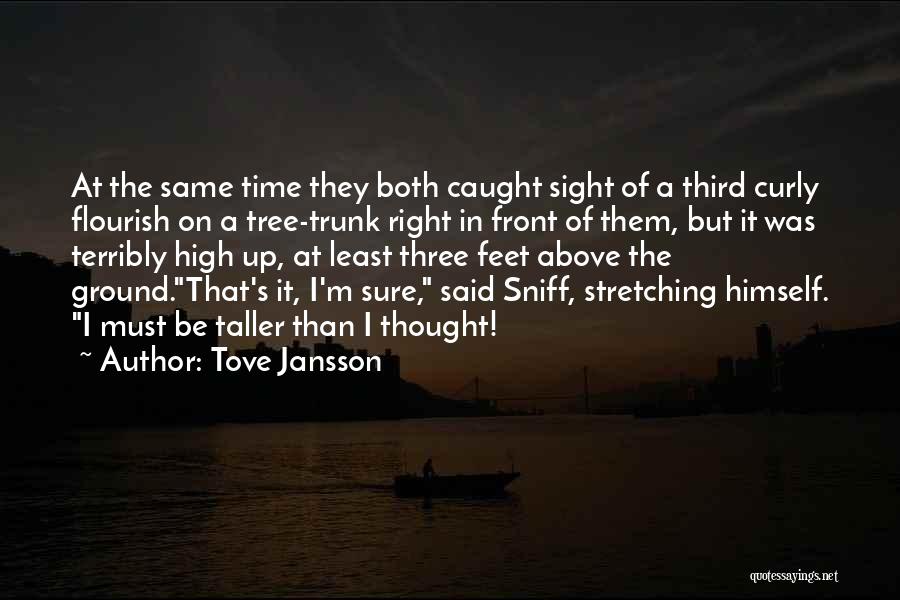 Tove Jansson Quotes: At The Same Time They Both Caught Sight Of A Third Curly Flourish On A Tree-trunk Right In Front Of