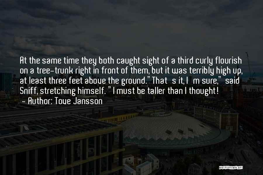 Tove Jansson Quotes: At The Same Time They Both Caught Sight Of A Third Curly Flourish On A Tree-trunk Right In Front Of