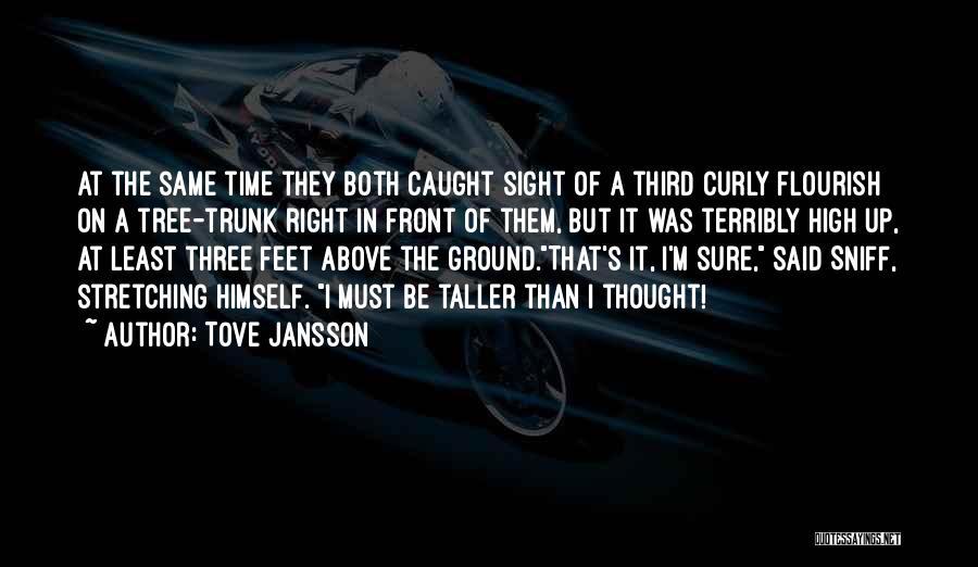 Tove Jansson Quotes: At The Same Time They Both Caught Sight Of A Third Curly Flourish On A Tree-trunk Right In Front Of