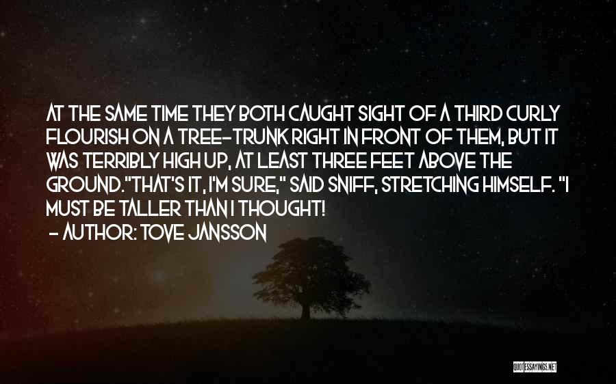 Tove Jansson Quotes: At The Same Time They Both Caught Sight Of A Third Curly Flourish On A Tree-trunk Right In Front Of