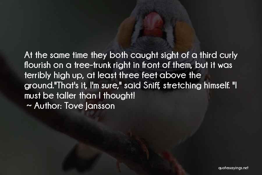 Tove Jansson Quotes: At The Same Time They Both Caught Sight Of A Third Curly Flourish On A Tree-trunk Right In Front Of