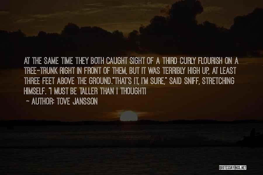 Tove Jansson Quotes: At The Same Time They Both Caught Sight Of A Third Curly Flourish On A Tree-trunk Right In Front Of