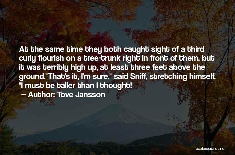 Tove Jansson Quotes: At The Same Time They Both Caught Sight Of A Third Curly Flourish On A Tree-trunk Right In Front Of