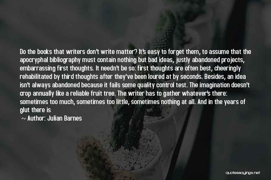 Julian Barnes Quotes: Do The Books That Writers Don't Write Matter? It's Easy To Forget Them, To Assume That The Apocryphal Bibliography Must