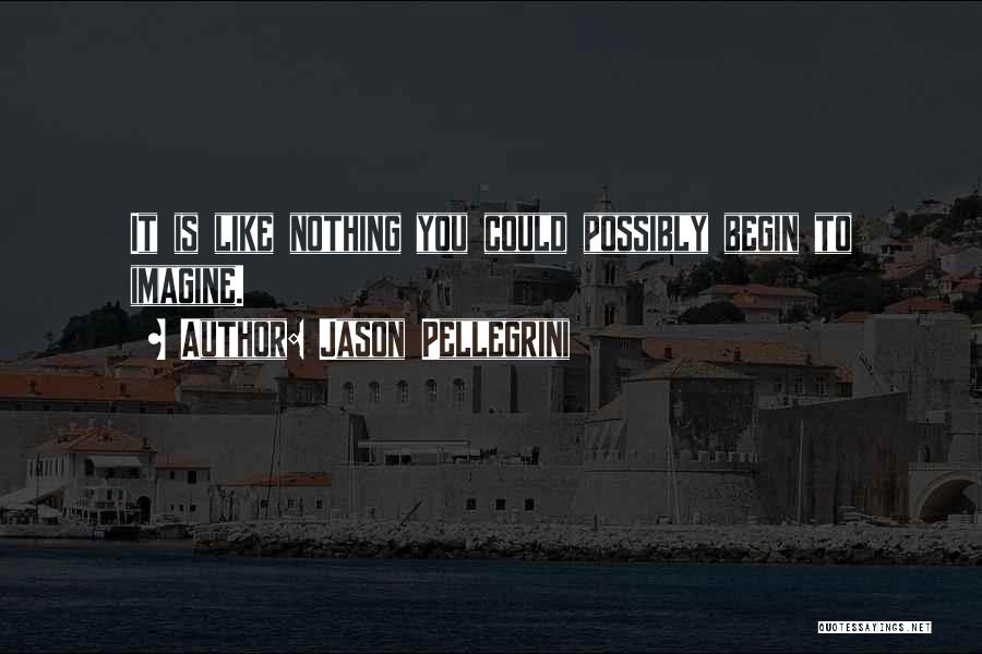 Jason Pellegrini Quotes: It Is Like Nothing You Could Possibly Begin To Imagine.