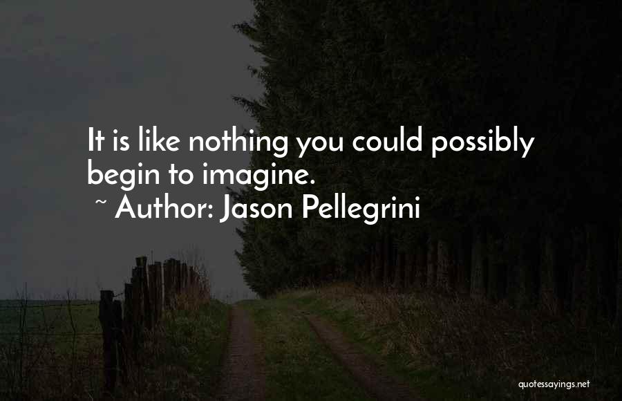 Jason Pellegrini Quotes: It Is Like Nothing You Could Possibly Begin To Imagine.