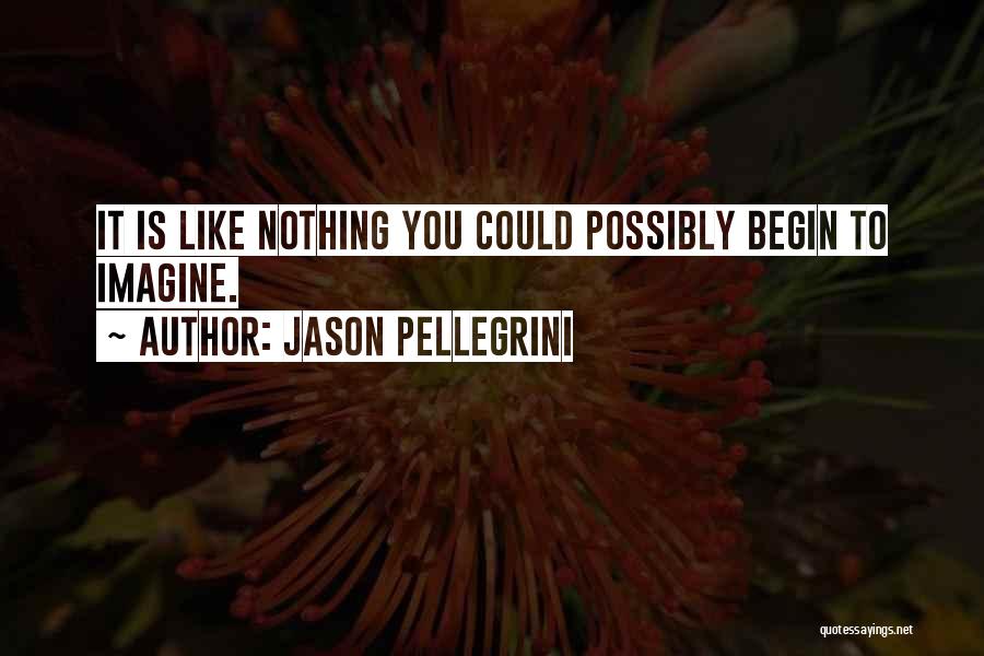 Jason Pellegrini Quotes: It Is Like Nothing You Could Possibly Begin To Imagine.