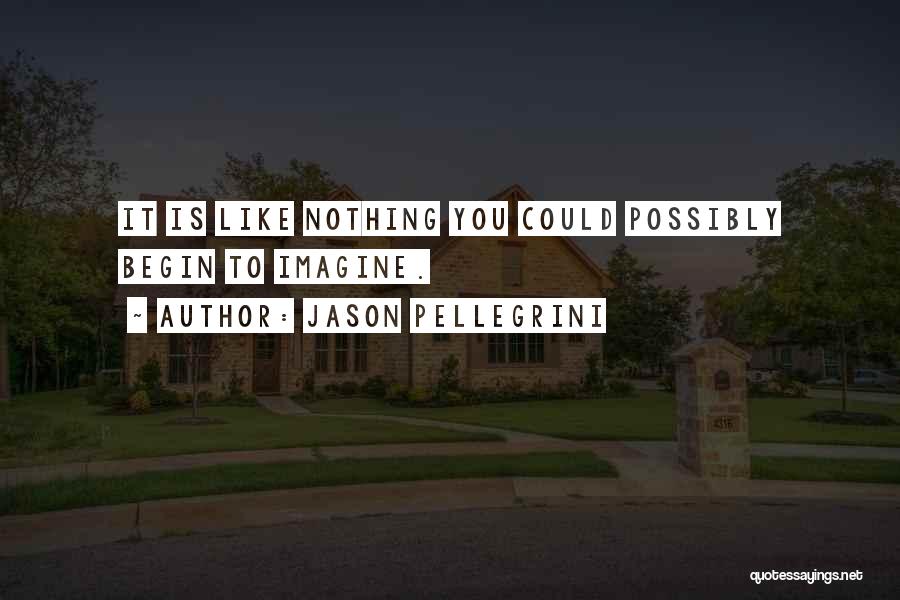 Jason Pellegrini Quotes: It Is Like Nothing You Could Possibly Begin To Imagine.