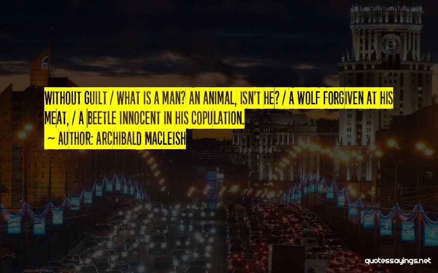Archibald MacLeish Quotes: Without Guilt / What Is A Man? An Animal, Isn't He? / A Wolf Forgiven At His Meat, / A