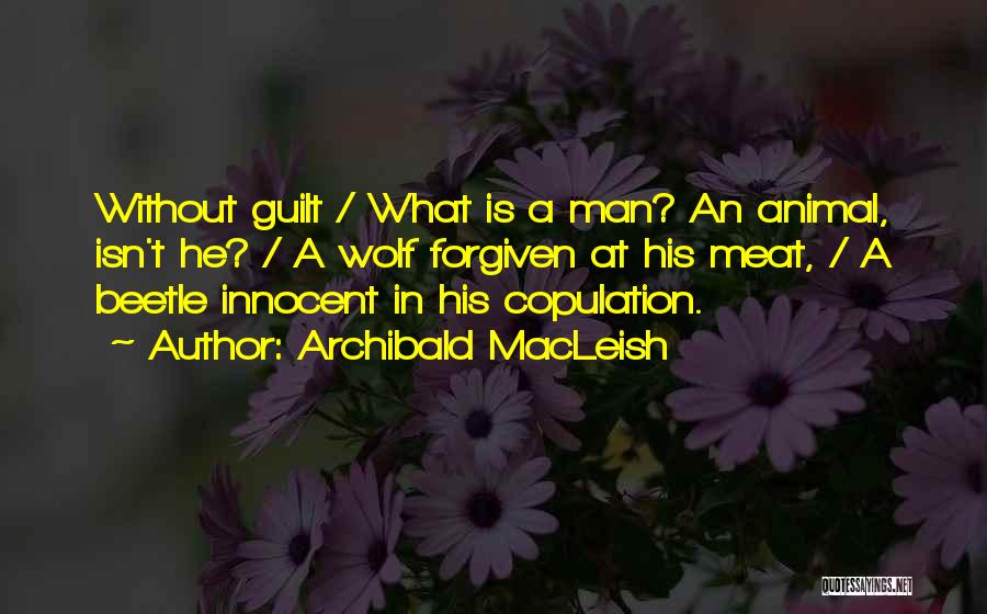 Archibald MacLeish Quotes: Without Guilt / What Is A Man? An Animal, Isn't He? / A Wolf Forgiven At His Meat, / A